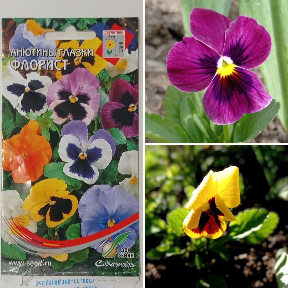 Цвета были приближены к розово-фиолетовому и желтенькие.