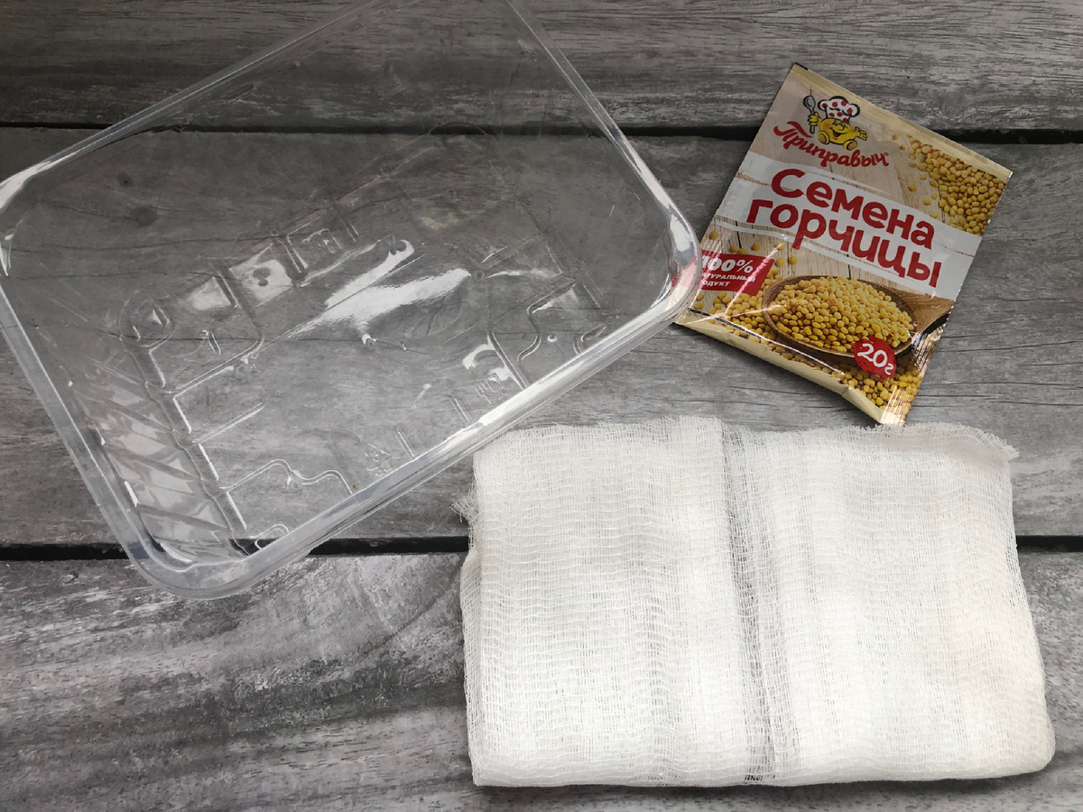 Микрозелень горчица