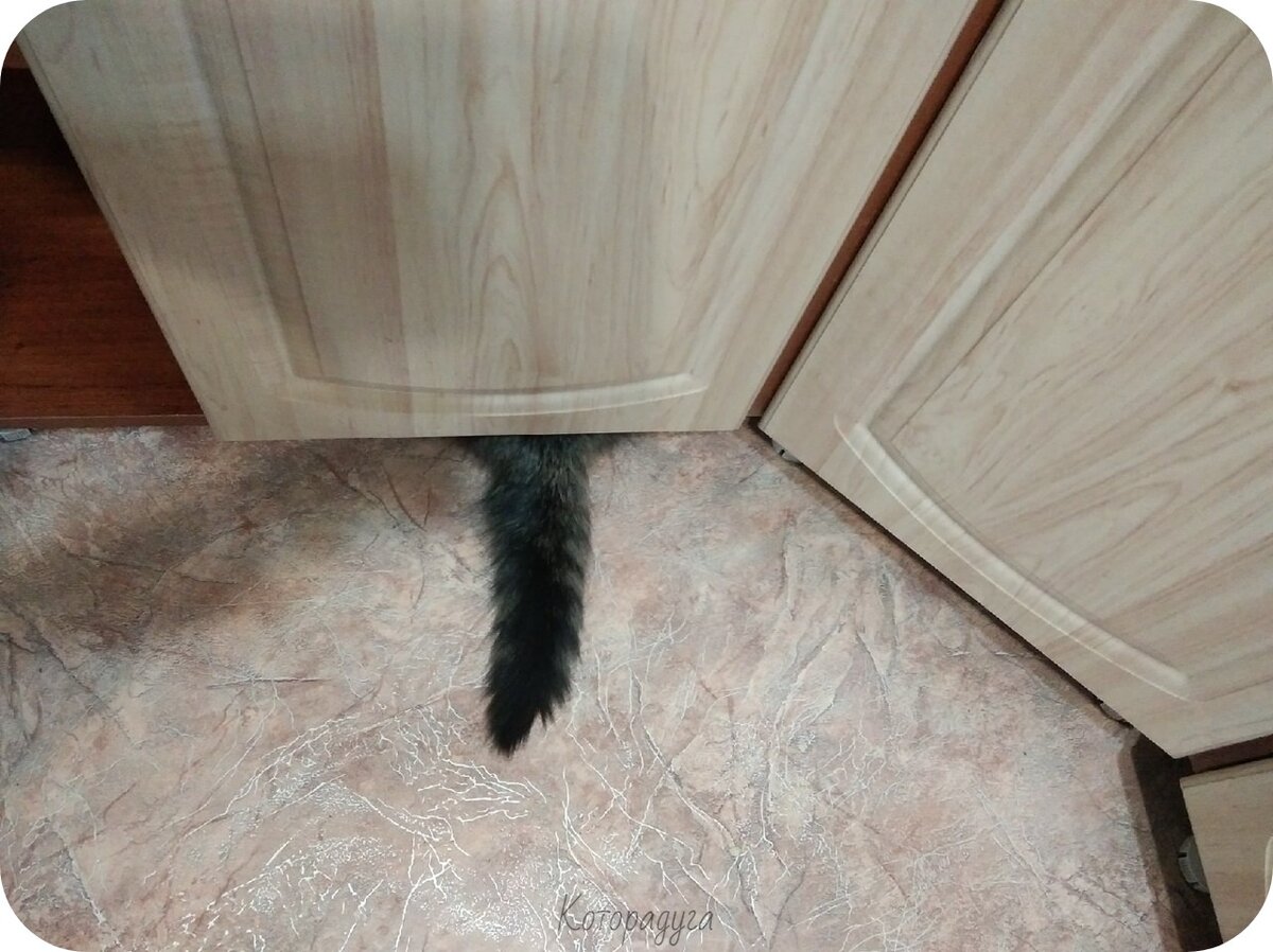 Источник: pinterest.com