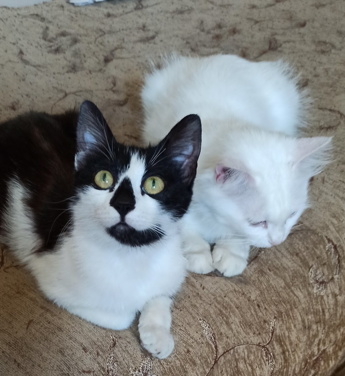 Мне казалось, что они неразлучницы, но вышло все иначе.