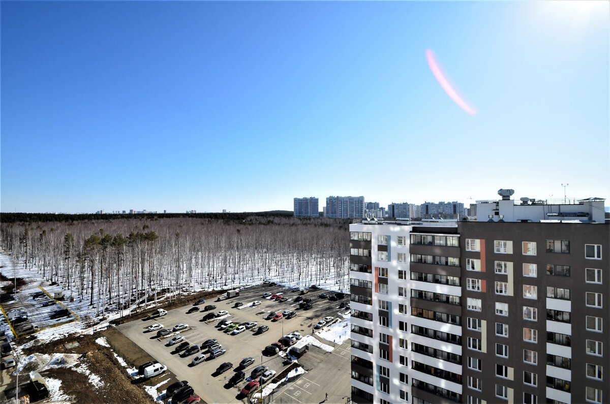 Вид на лесопарк с улицы Краснолесья 