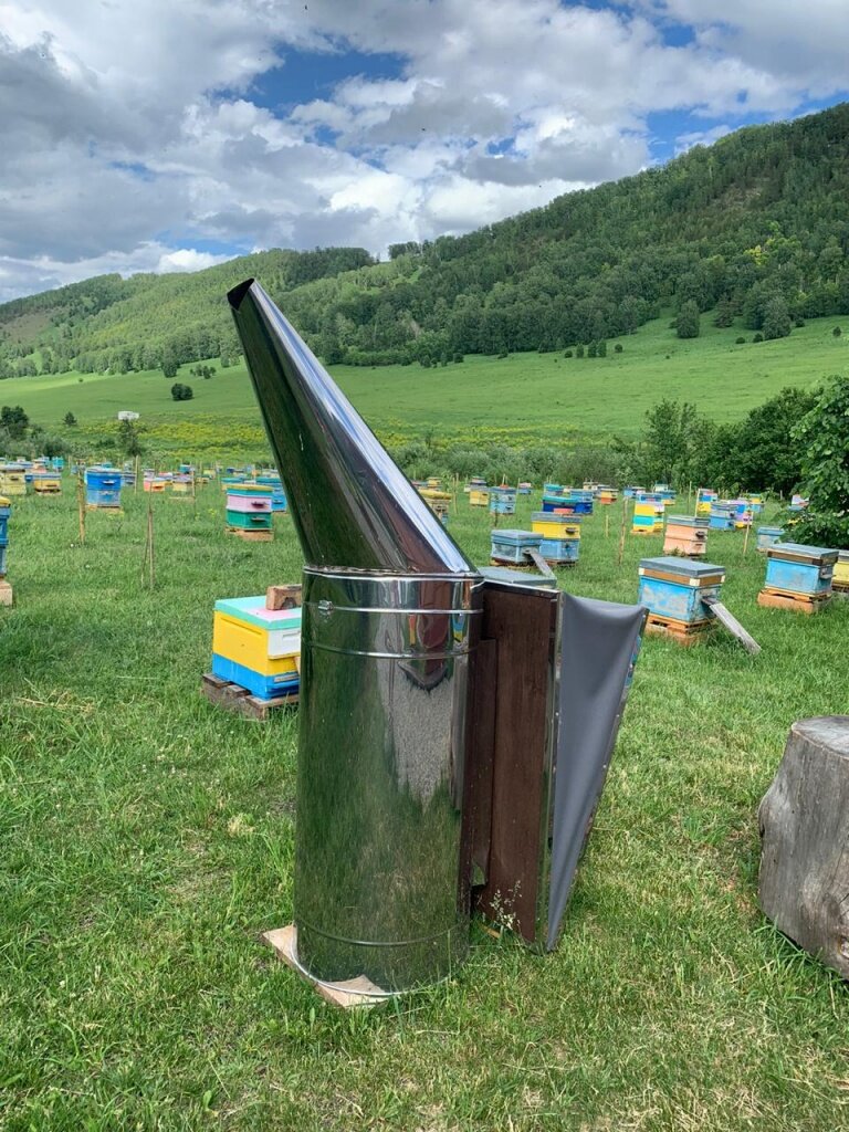 Фото: Пасека Славы Медовухи / Алтай.