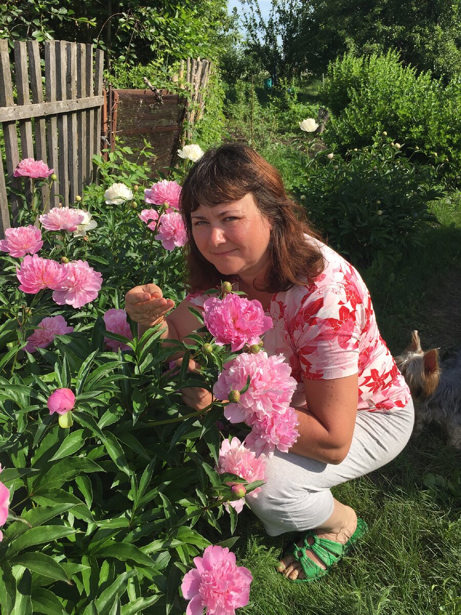 Вот этот забор слева решено демонтировать