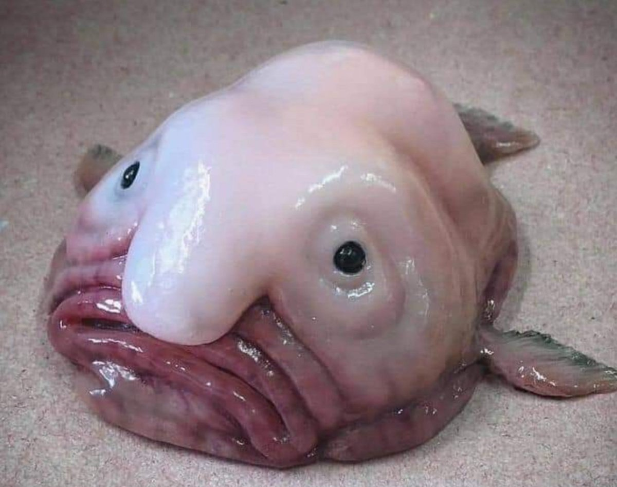 Фото от Романа Федорцова 