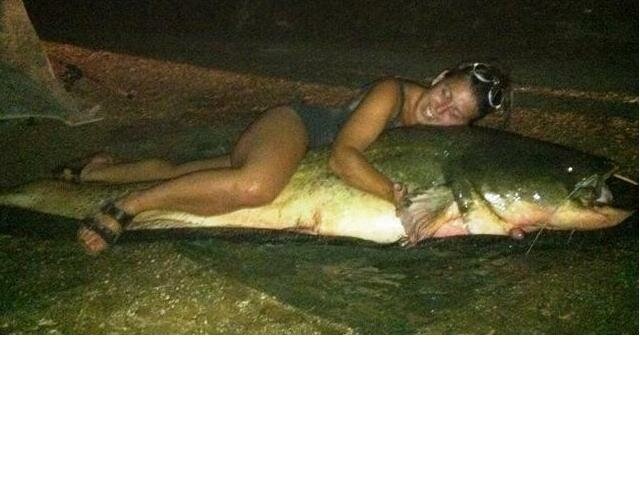 Источник - Яндекс.Картинки