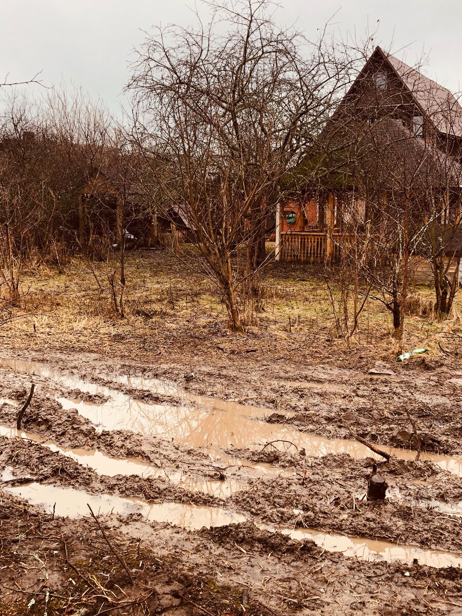 Здесь сейчас тоже газон. Фото автора. 