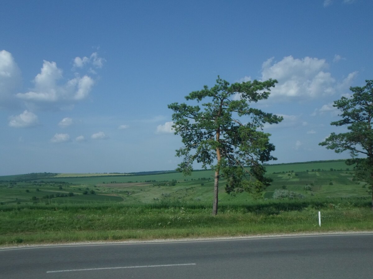 Молдавские просторы