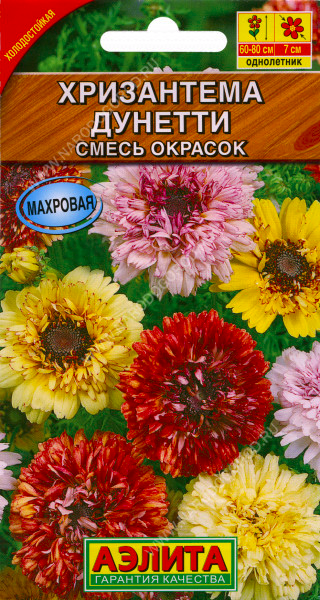 Хризантема Дунетти, смесь окрасок, Аэлита