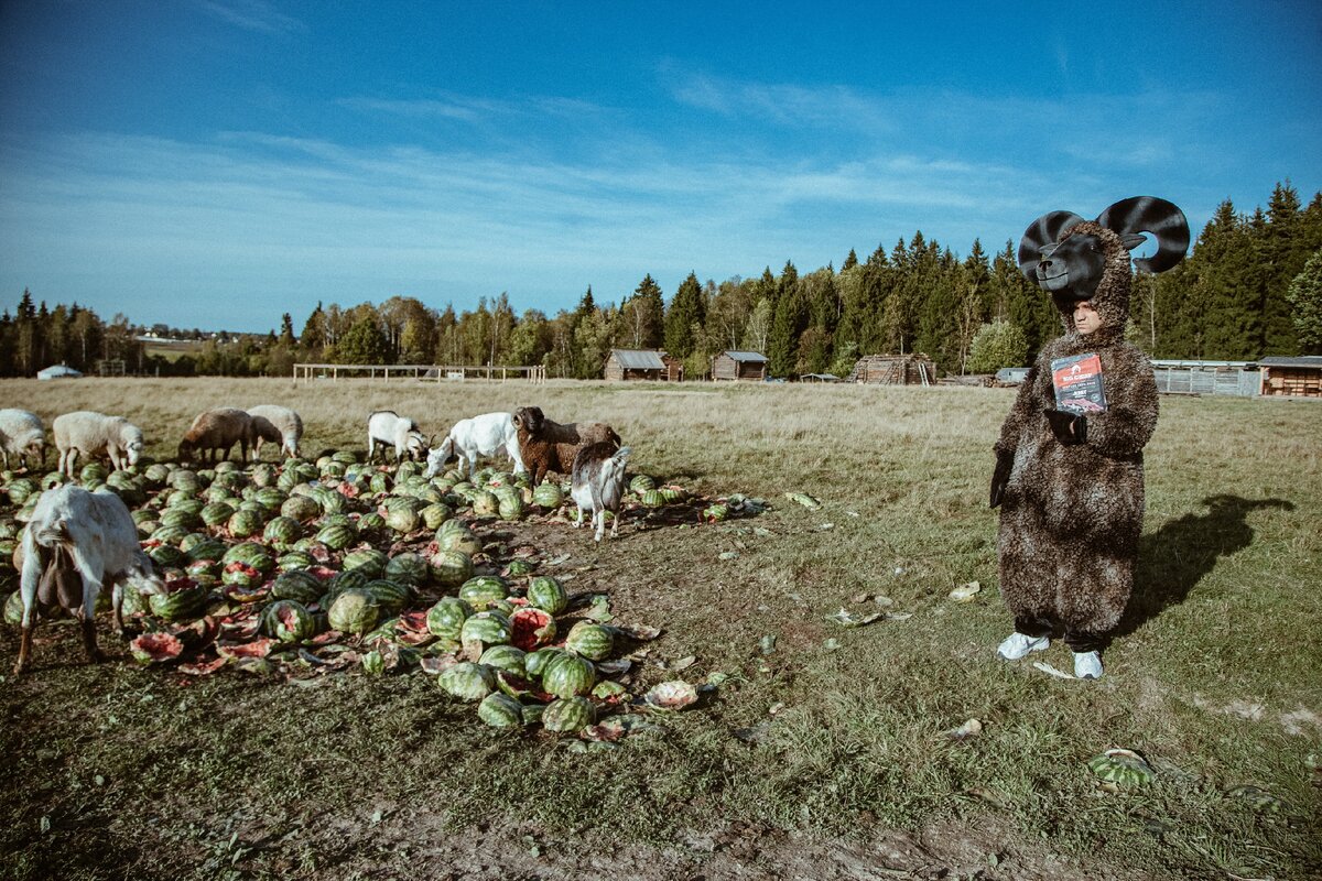 Барашек нашел своих Big Chief