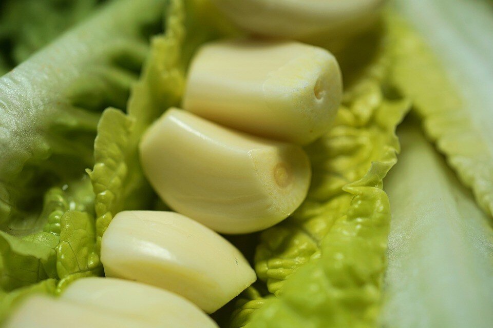 Фото: pixabay.com