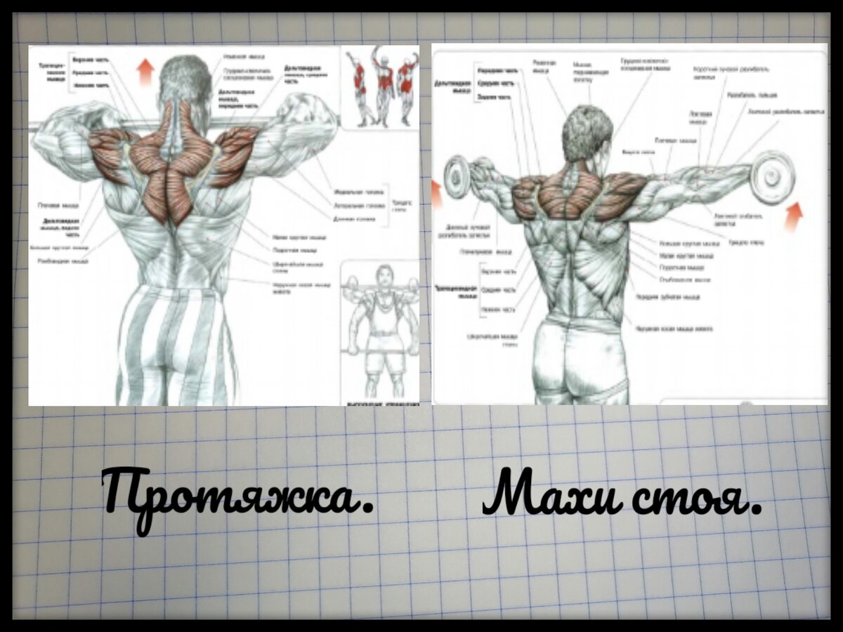 Кач кач. Тренировка на плечи.