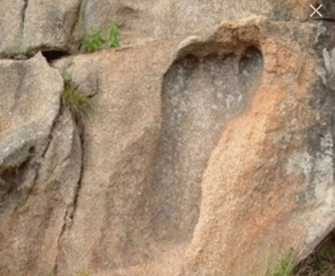 Фото с открытого источника