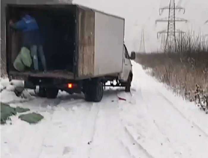 Кадр из видео К. Гусева. Источник: Всероссийское общество охраны природы