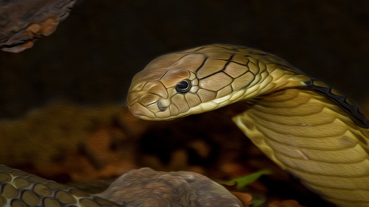 Изображение beatebasenau с сайта Pixabay 