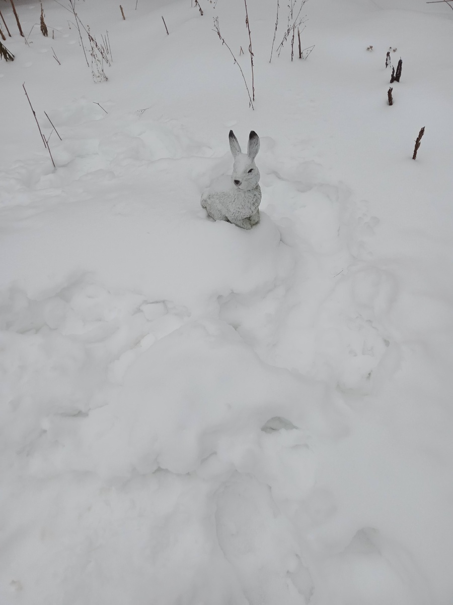 Просто зайчик. Всем добра)