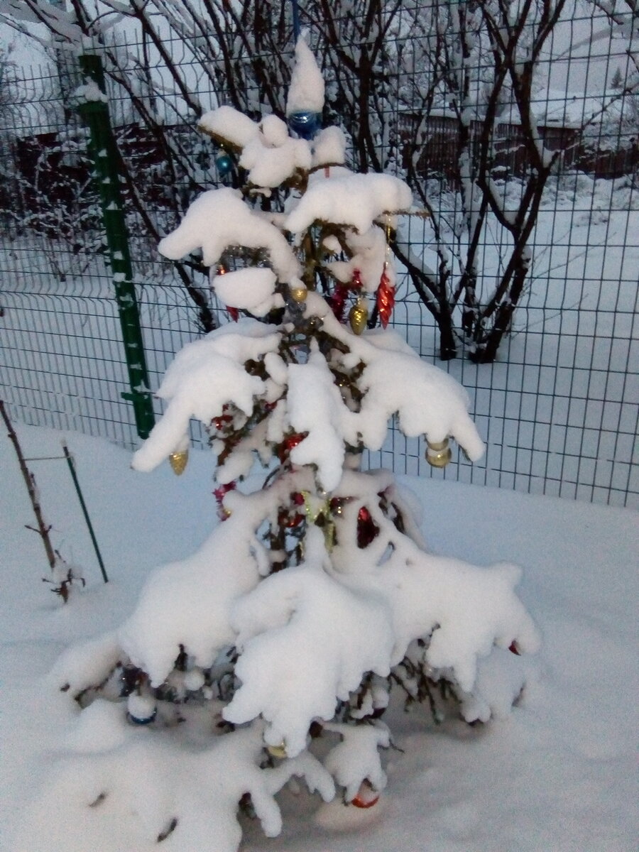 Ну точно, как живая!