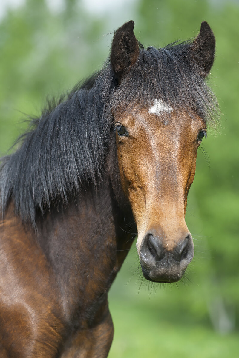 Парень после парикмахерской!