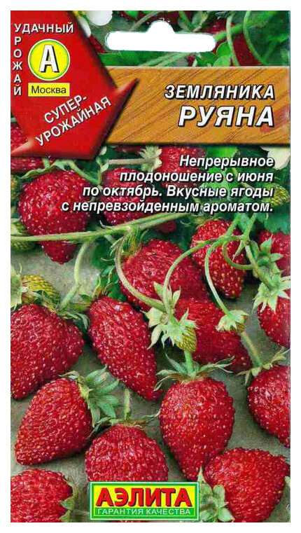 Земляника.Сорт Руяна