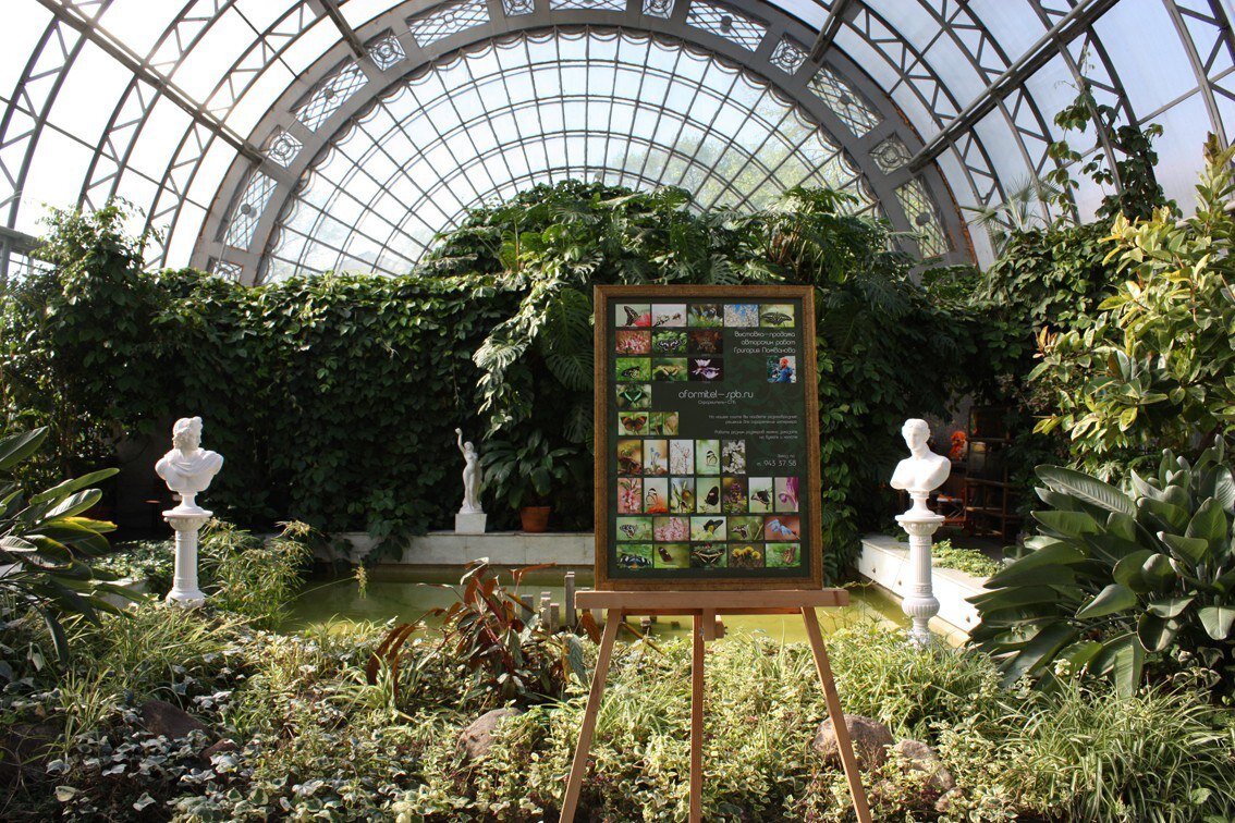 Фото: sun9-20.userapi.com