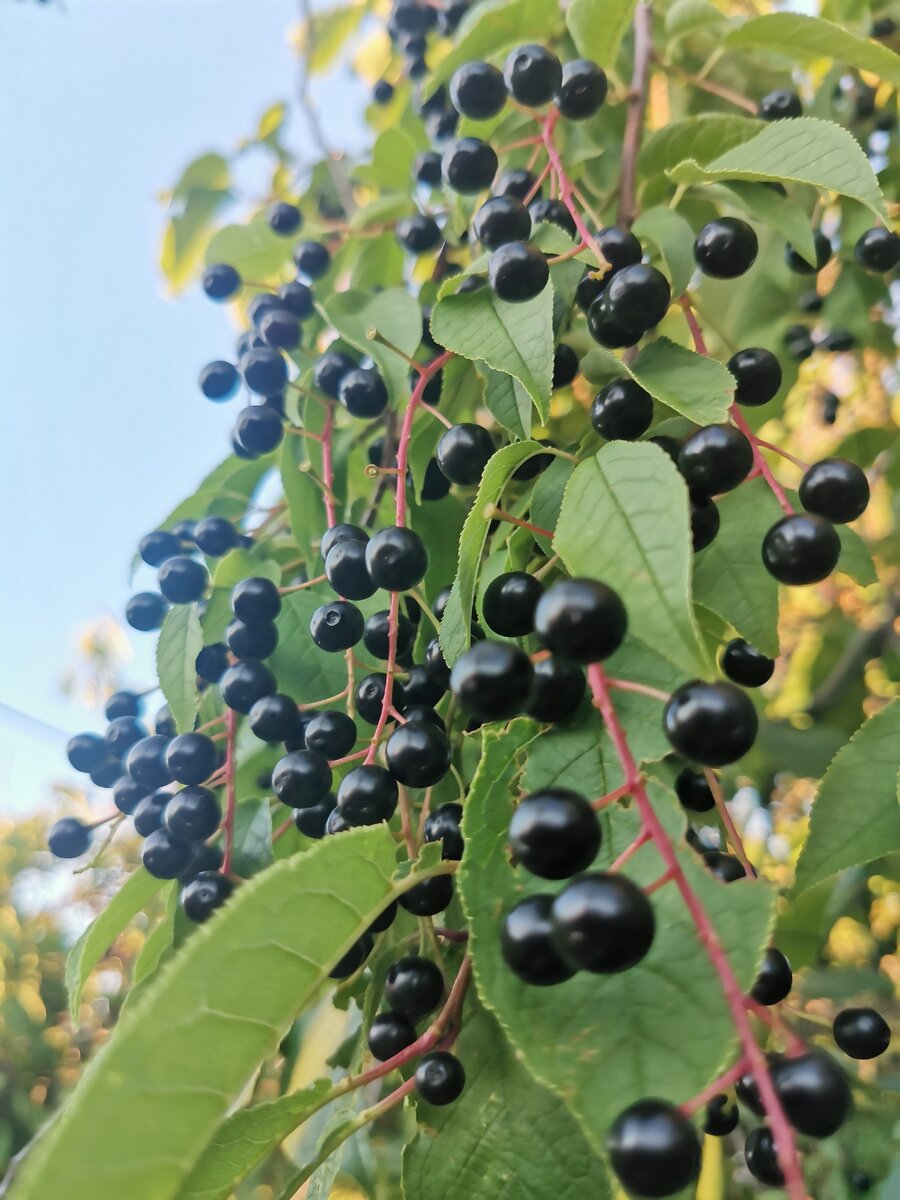 Первые их отношения были адом. 