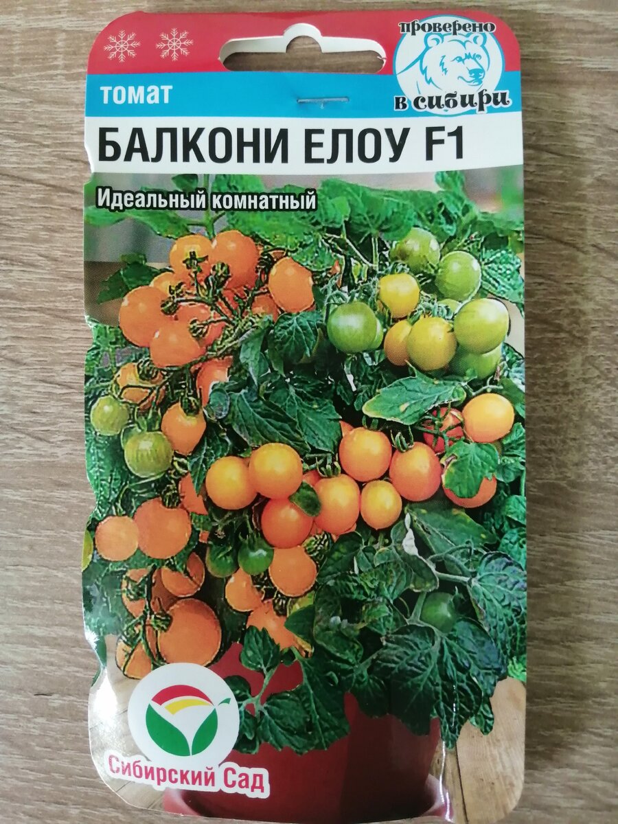 Фото автора. Карликовые томаты