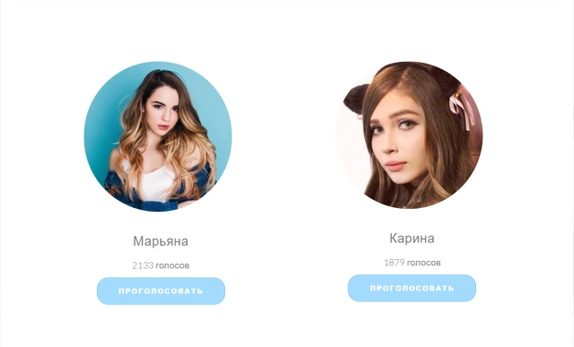 Примерно так выглядит фейк сайт "голосования"изображение было взято из сайта lolz.guru 