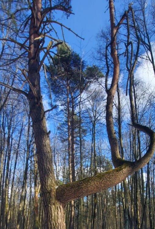 Фотографии из личного альбома 