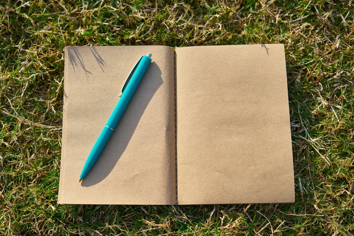 Взято с открытого источника: https://pixabay.com/