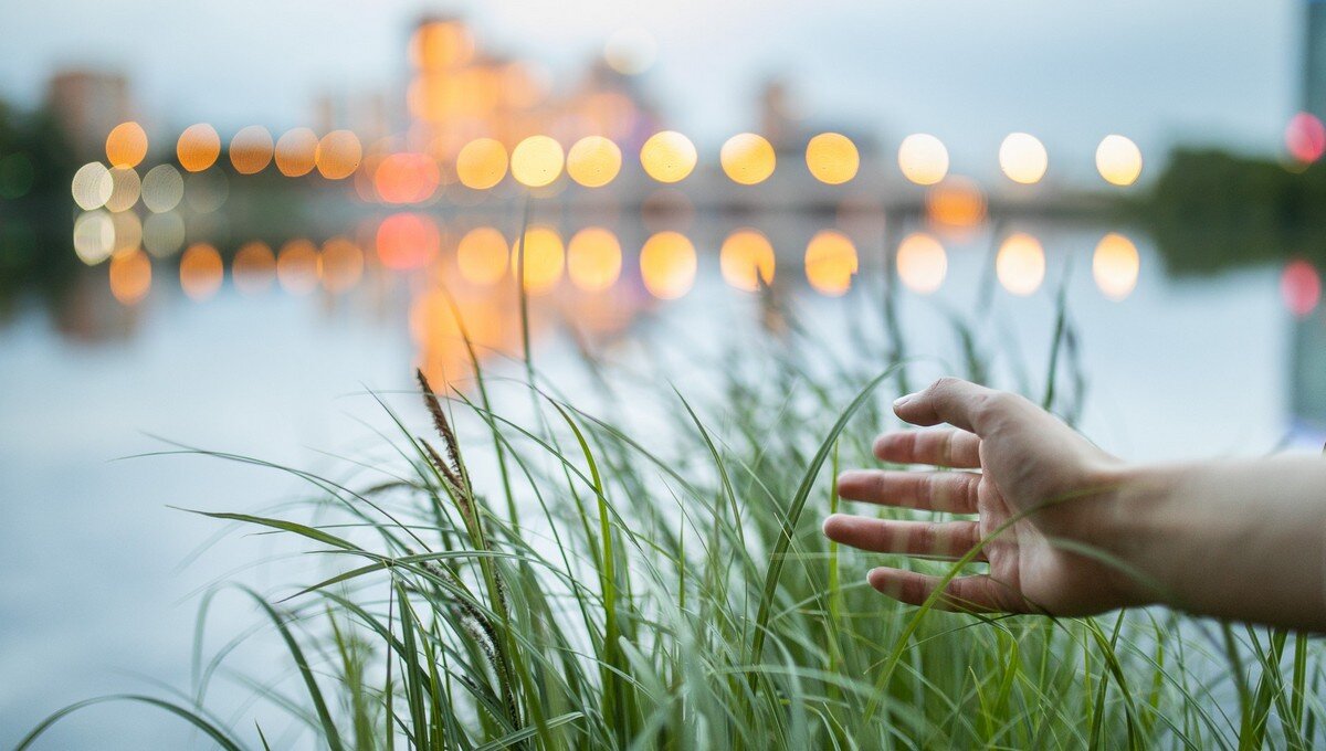 Самостоятельность губернаторов в природоохранной политике может привести к заметному улучшению экологических показателей. Фото: Илья Сафаров, медиацентр УрФУ