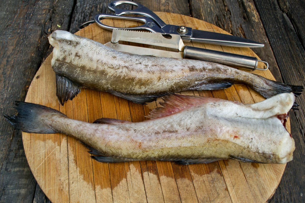 Источник иллюстрации https://www.botanichka.ru