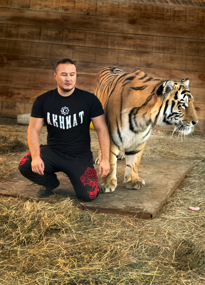 Фотографии Дмитрия Кима @tigers_and_kim