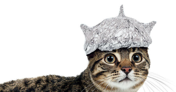 Увы, но даже шапочка из фольги не поможет. |Фото: mirtesen.ru.