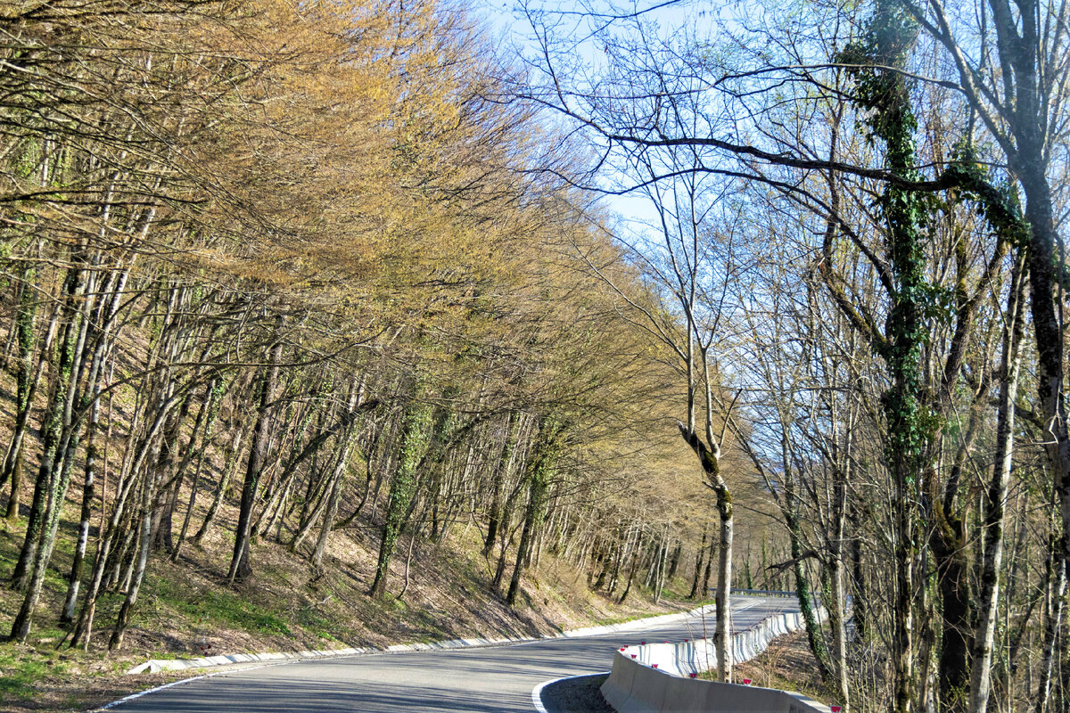 Дорога в село Гойтх