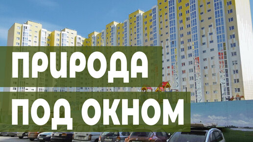 Окрестности ЖК Зеленоградский