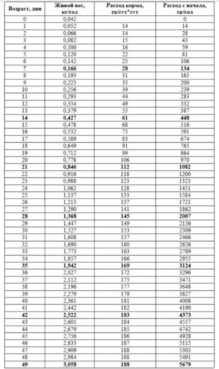 Таблица весов бройлеров росс 308. Нормы роста бройлеров кобб 500. Таблица веса росс 308 по дням. Вес цыплят бройлеров росс 308 по дням таблица. Таблица веса бройлеров росс 308 по дням.