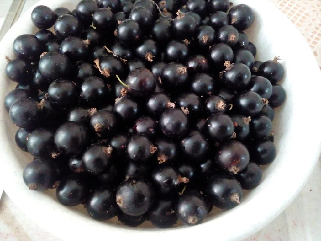 2) Смешайте в кастрюле воду с сахаром, поставьте ее на плиту и доведите до кипения. Когда вода закипит, нужно высыпать в нее ягоды и кипятить их в течение 3 минут, время от времени помешивая.