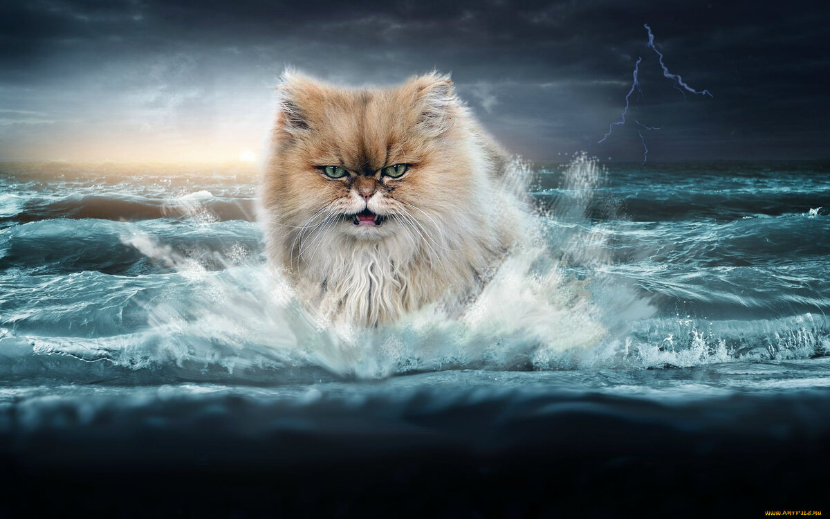 фото из интернета