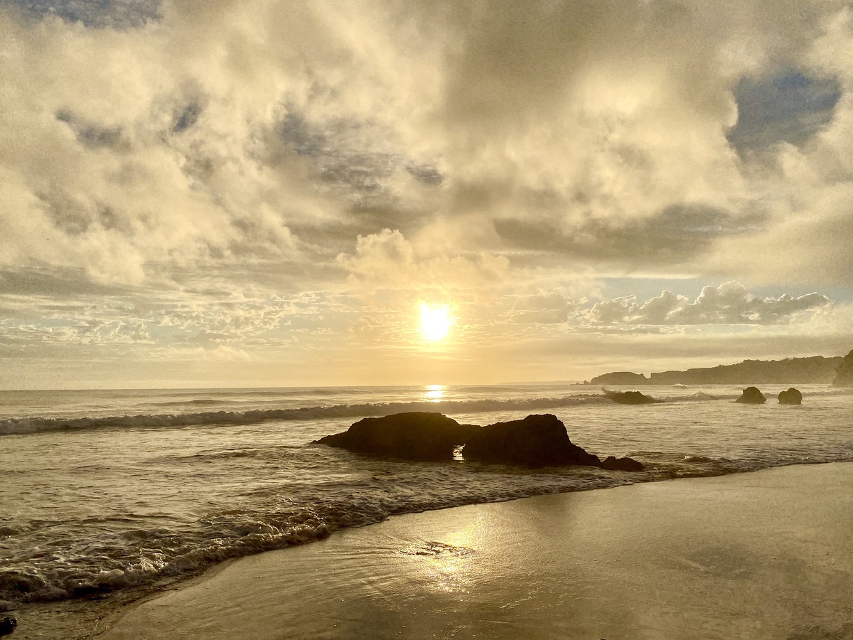 Image by Leonor Souza from Pixabay 