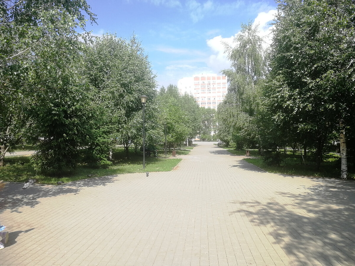 Центральная аллея