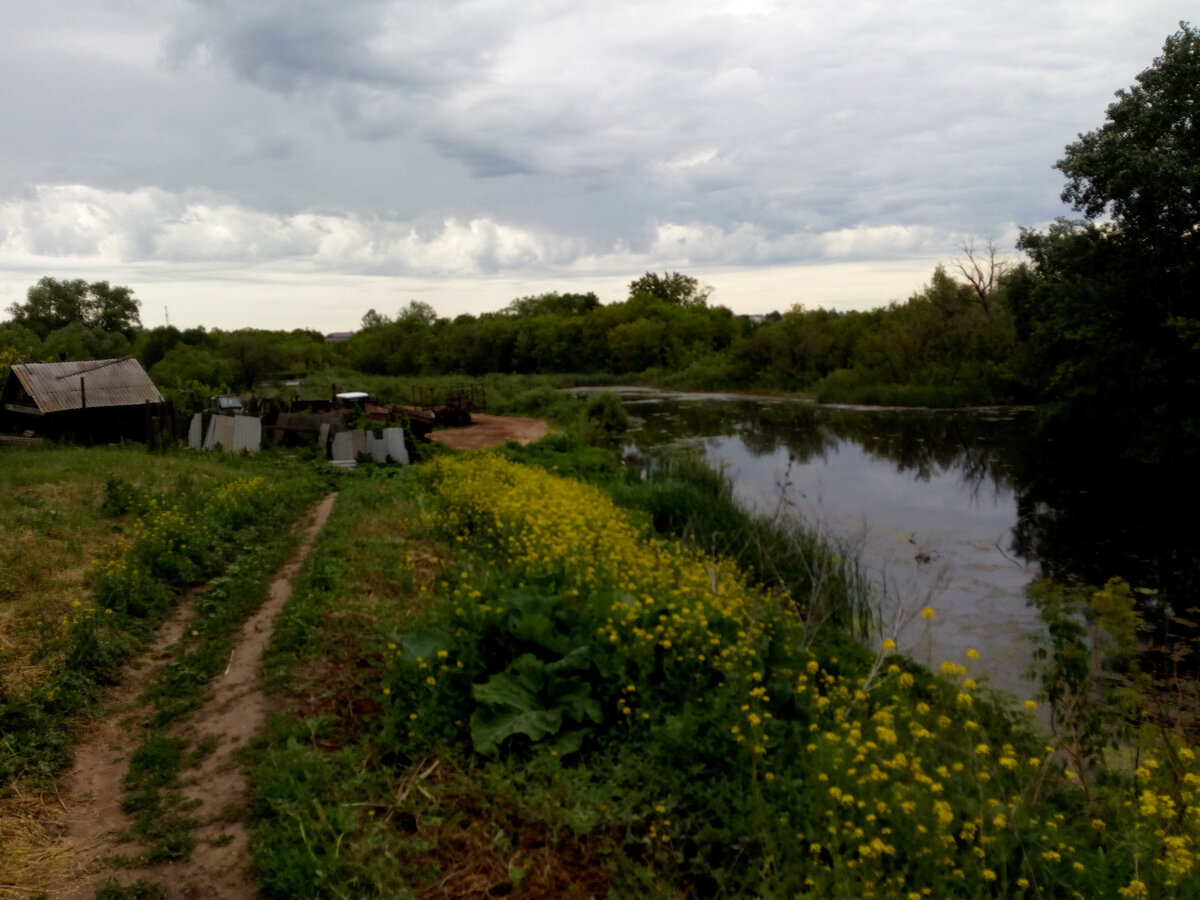 Оренбургская область, Новосергиевский р-н., с. Кулагино (фото реальное, личное).