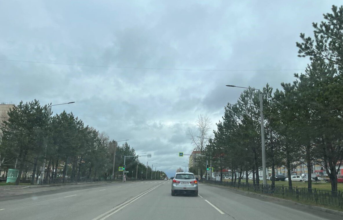 Количество сосен вполне соответствует называю города