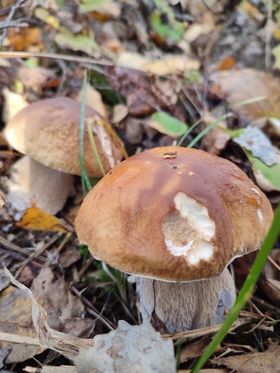 Ставьте "лайки" и подписывайтесь на мой канал!