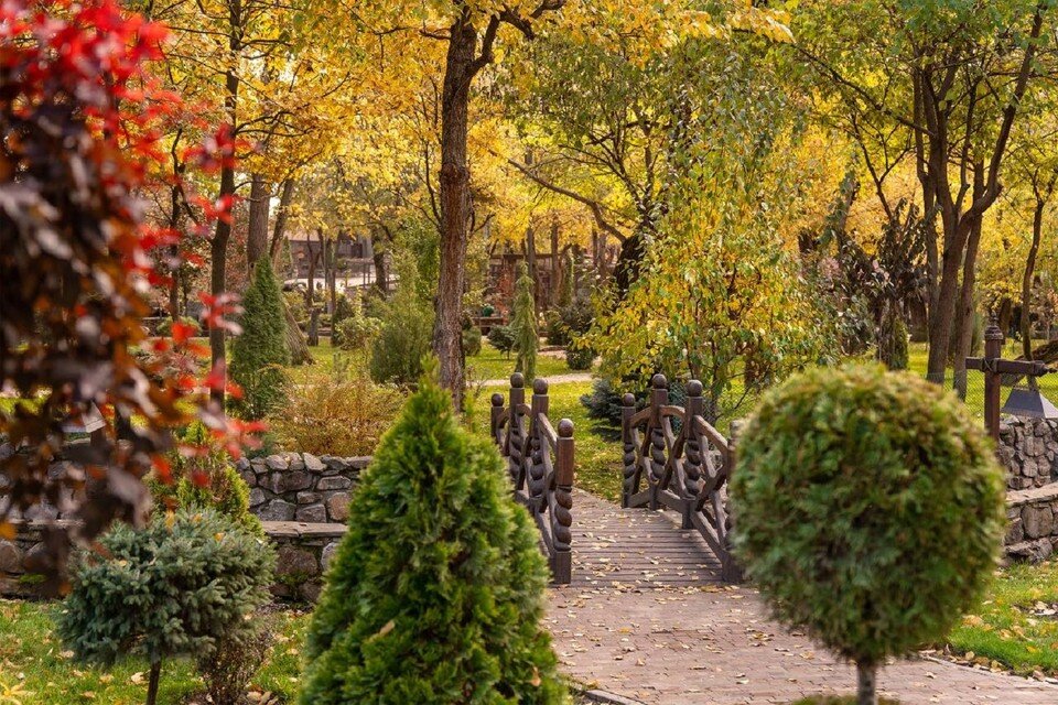     Донской парк "Лога" стал обладателем международной награды "Хрустальное колесо". Фото: телеграм-канал парка "Лога".