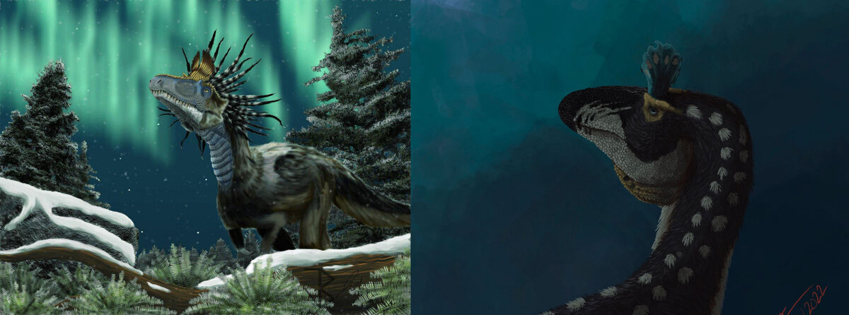 Собрался уже спать, а какой-то … запускает салюты.