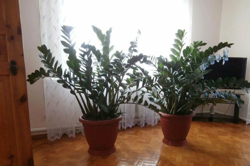 Вот столько место как раз для него! 