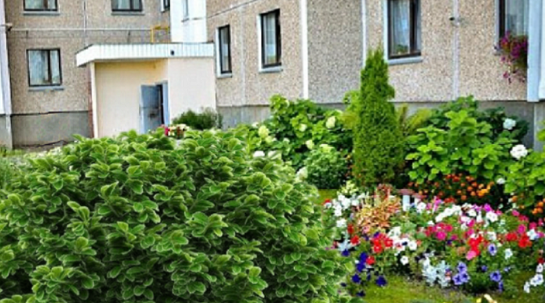 Монтаж из отдельных картинок, взятых в интернете