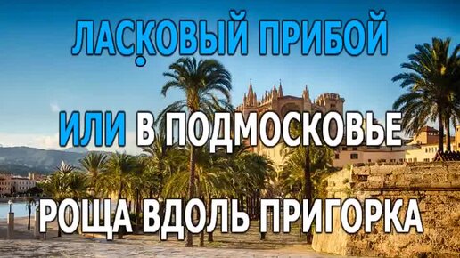 Пусть тебе приснится пальма де. Шуфутинский Пальма-де-Майорка слушать текст. Пальма де Майорка погода в декабре.