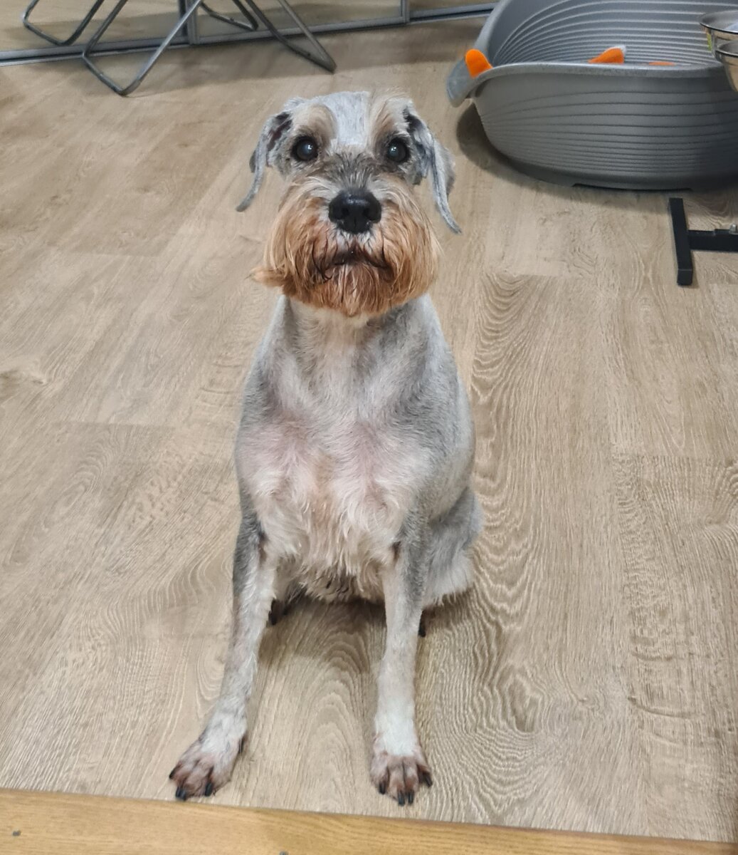 Шаня- мама нашего Юксика