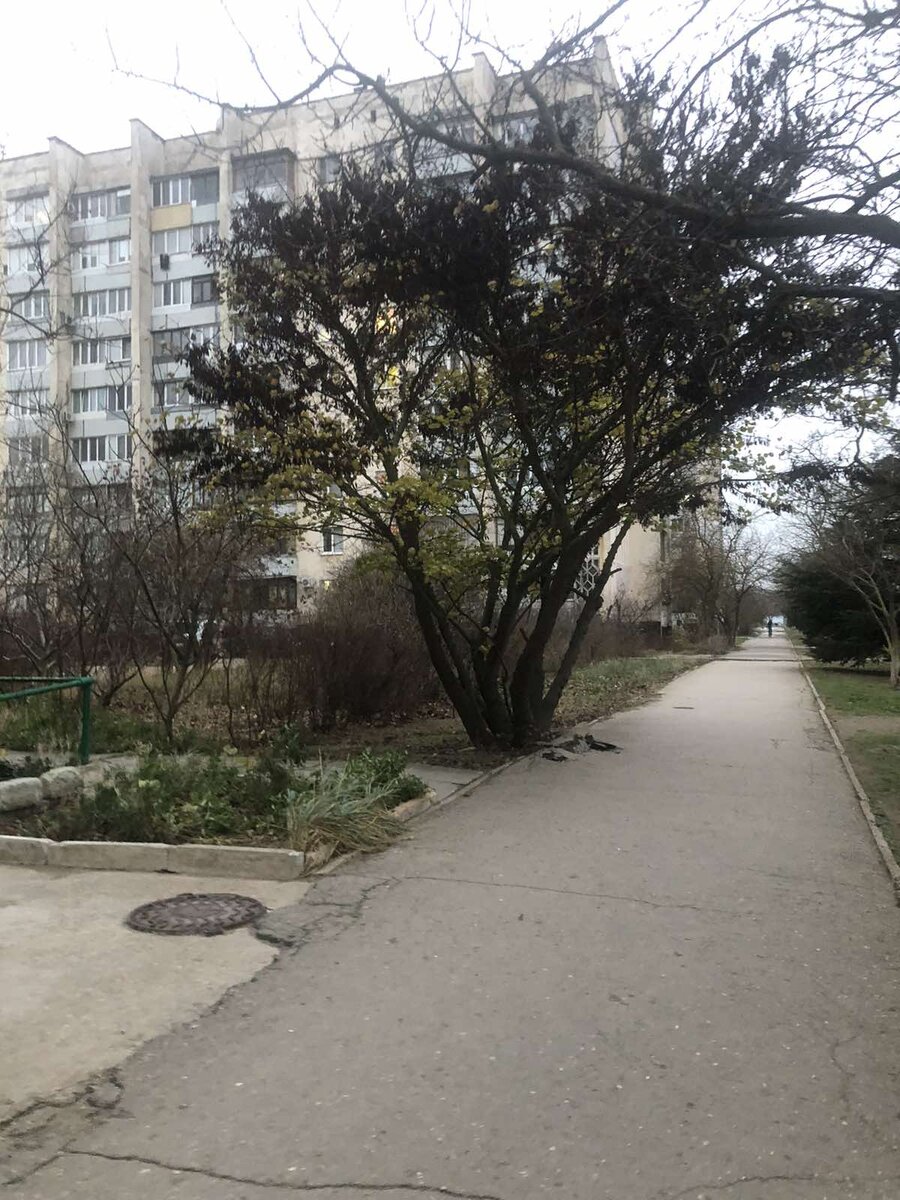 Фото автора