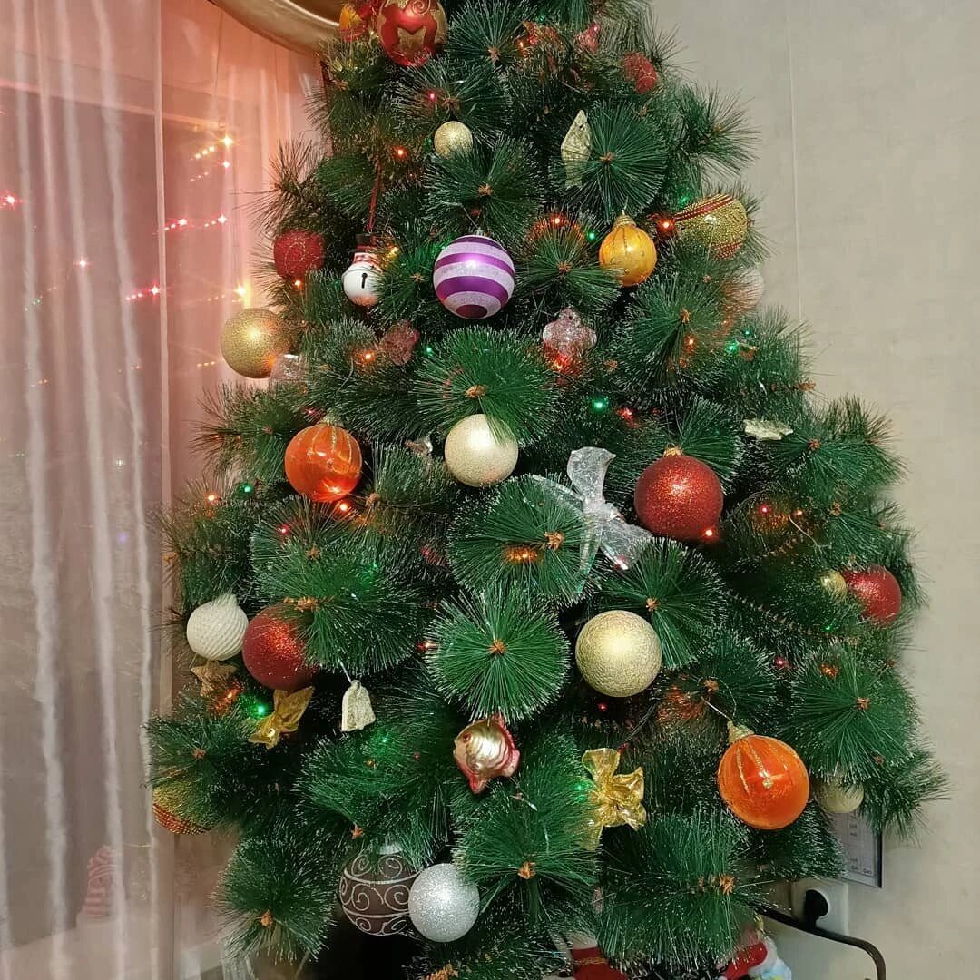 Это наша ёлочка на старой квартире